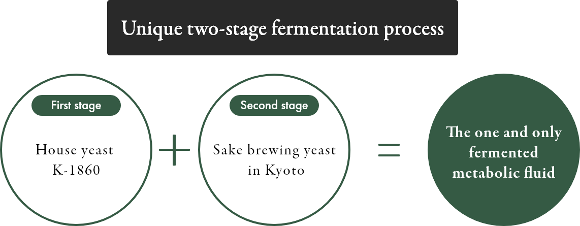 [Unique Two-Stage Fermentation] Primary: House Lactic Acid Bacteria K-1860 + Secondary: Kyoto Sake Brewing Yeast = One-of-a-kind Fermentation Metabolites