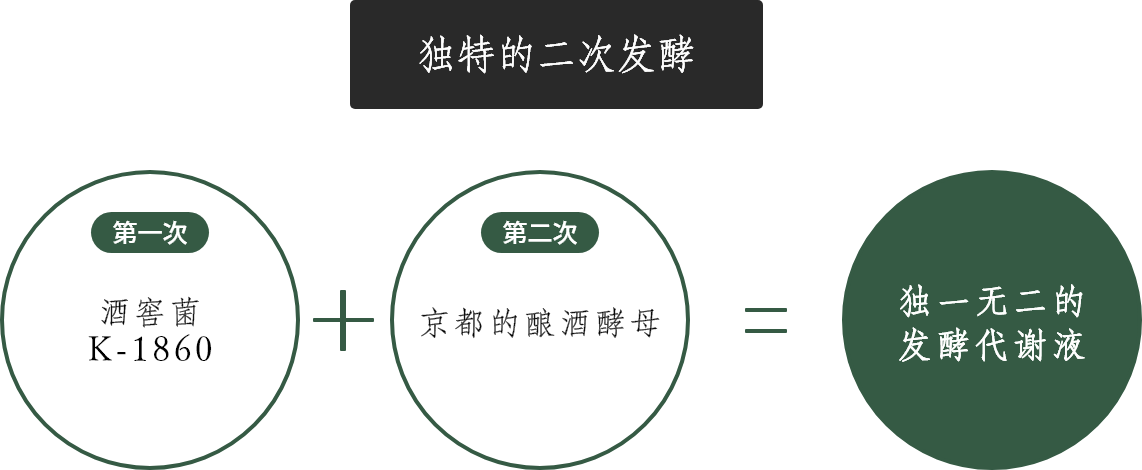 [Unique Two-Stage Fermentation] Primary: House Lactic Acid Bacteria K-1860 + Secondary: Kyoto Sake Brewing Yeast = One-of-a-kind Fermentation Metabolites